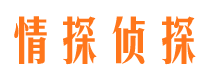 连平侦探调查公司